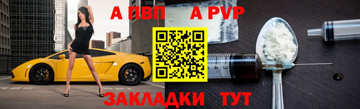 A PVP СК Нижнекамск