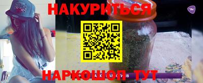 шишки Славгород