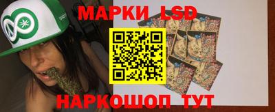 шишки Славгород