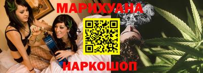 шишки Славгород