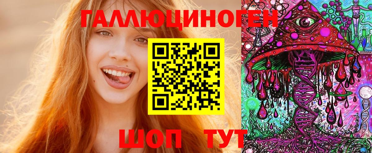 Псилоцибиновые грибы Psilocybe Нижнекамск