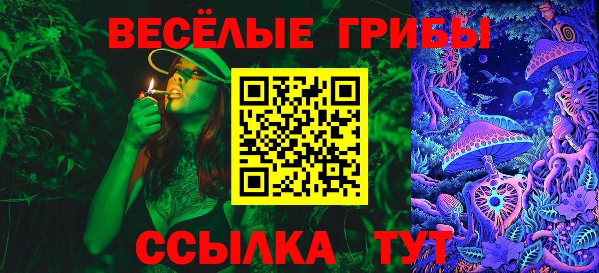 Галлюциногенные грибы Psilocybine cubensis  Вход с VPN  Нижнекамск 